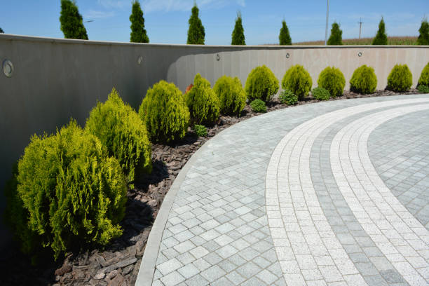 Best Driveway Paver Sealing  in Goshen, AR